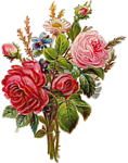 0_bd584_944f3d5d_S 